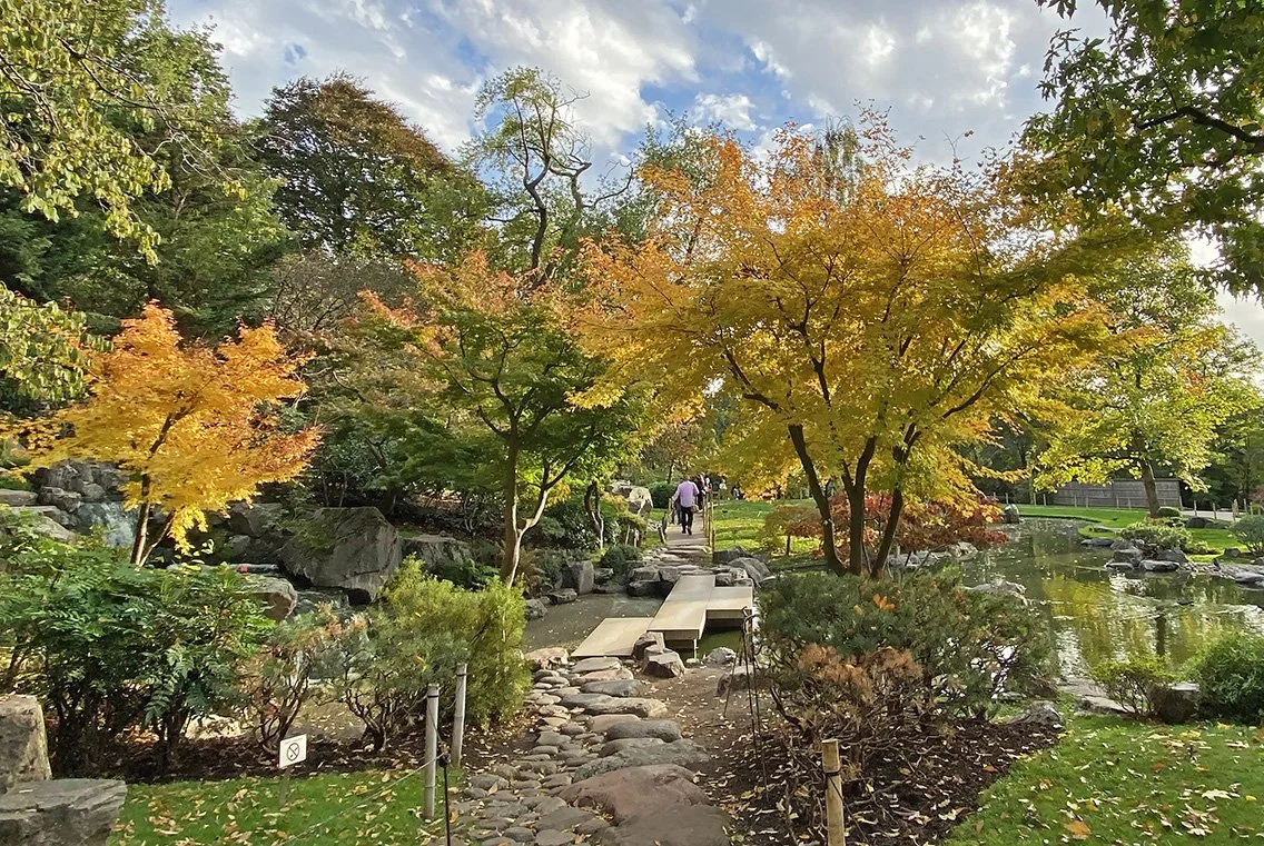 Autumn Colours — WILD LONDON